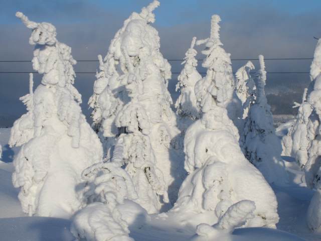 Spinleruv Mlyn Februari 2010